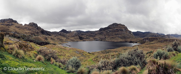 Lagune im Las Cajas Nationalpark