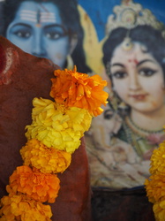 Blumenschmuck vor Shiva, Ganesha und Parvati