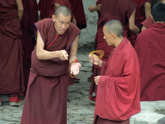 Kontroverse Diskussion unter Mönchen