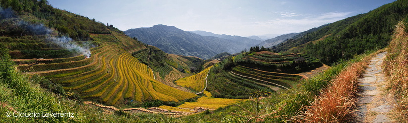 Panoramablick über die Reisterrassen