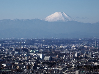 Ausblick vom Tokyo Metropolitan Government Building (Rathaus) auf den Fuji