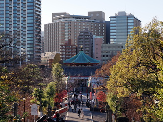 Ueno Park - Ausblick vom Kannon-do Tempel