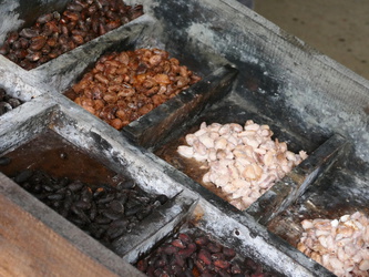 La Tirimbina - Kakaobohnen
