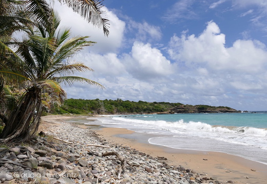 Grenada - Dieses Album anzeigen Grenada