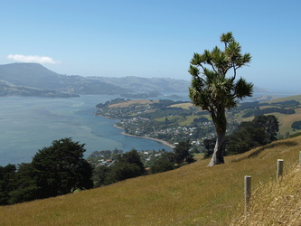 Landschaft in Otago