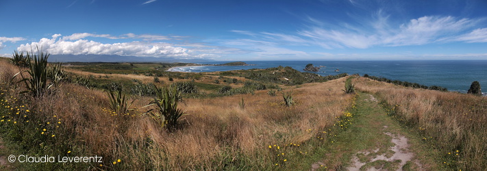 Panoramablick am Cape Foulwind