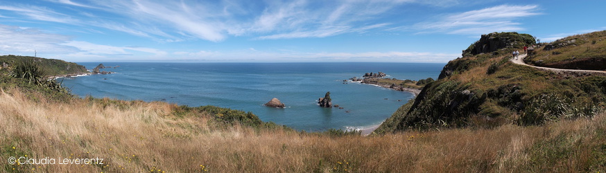 Panoramablick am Cape Foulwind