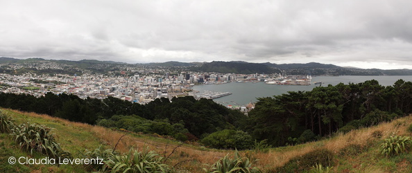 Panoramablick über Wellington
