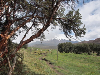 Blick zum Chimborazo-Vulkan