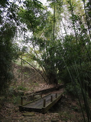Bamboo Rock Garden