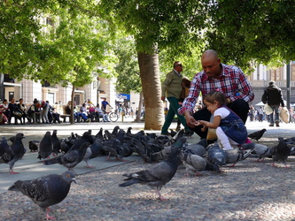 Tauben füttern am Plaza de Armas