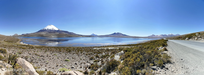 Lago Chungara 4520m