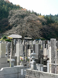 Friedhof in Nikko