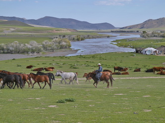 Nomade mit Pferden am Orkhon-Fluss