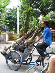 Cyclofahrer in Hué