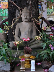 Buddha unter einem exotischen Baum