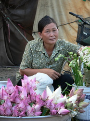 Lotus-Verkäuferin in Kampong Thom
