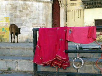 Wäsche trocknen an den Ghats