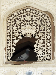 Kunstvolles Fensterornament im Zenana (Harem)