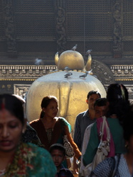 Der Bulle Nandi im Hindu-Tempel