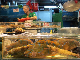 Fat Yuen Street Market