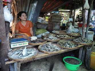 Fischstand auf dem Markt