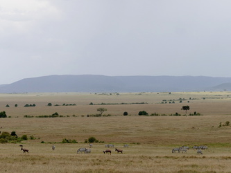 Masai Mara - Weite Landschaft