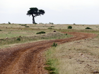 Masai Mara - Landschaft