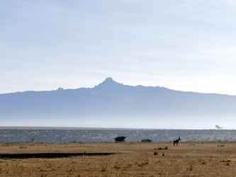 Solio Game Reserve - Mount Kenya
