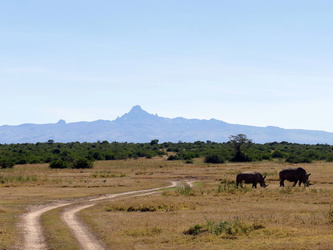 Solio Game Reserve - Nashörner vor dem Mount Kenya