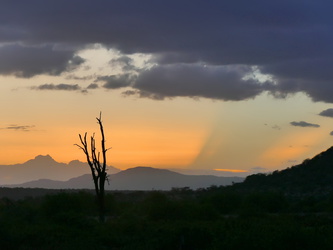 Samburu National Reserve - Abendstimmung