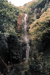 Maui - Wasserfall an den Seven Sacred Pools