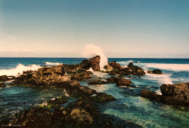 2000-12 - hawaii - -002.jpg