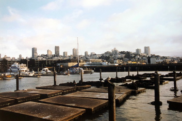 San Francisco - Pier