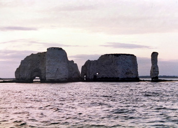 Handfast Point - Old Harry Rocks