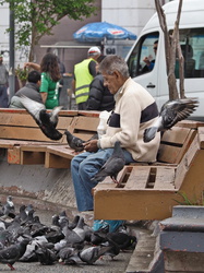 Valparaiso - Tauben füttern am Plaza Echaurren