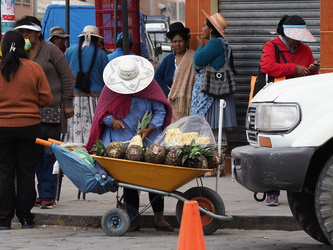 Uyuni - Ananas-Verkauf am Straßenrand