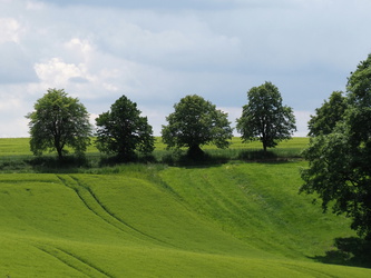 Weißenberg - Landschaft bei Wuischke