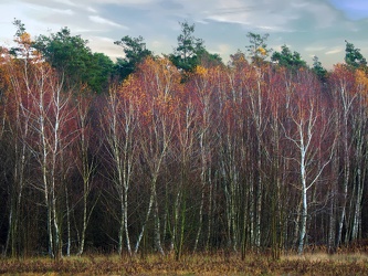 Herbstlandschaft bei Melchow