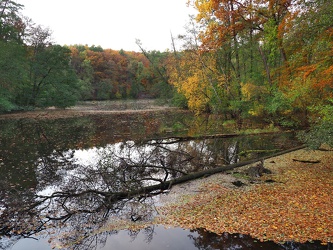 Naturschutzgebiet Schlaubetal - Herbst