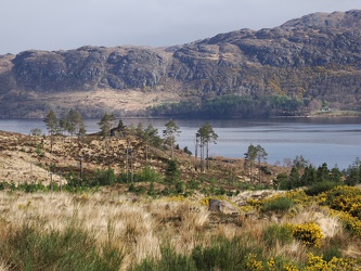 Kerrysdale - Landschaft am Loch Maree
