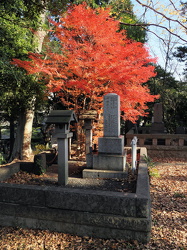 Aoyama Cemetery Tateyama District