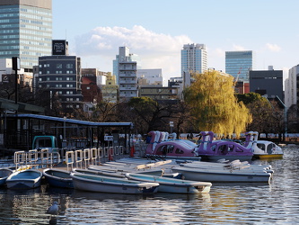 Ueno Park - Boat Pond