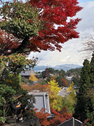 Ausblick vom Daishoin-Tempel