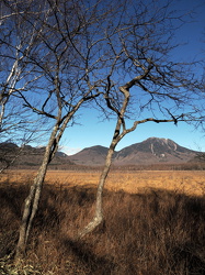 Senjogahara Marshland