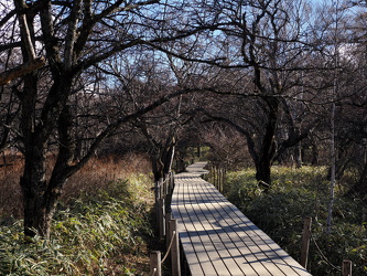 Wandergebiet am Yu River