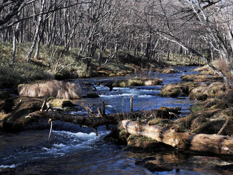 Yu River