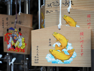 Ema-Wunschtafeln am Nikko Mt. Futara Shinto shrine