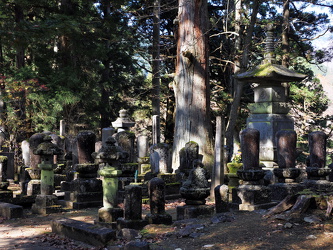 Alter Friedhof