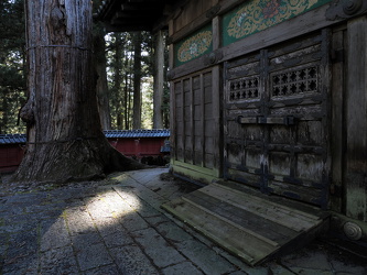 Shinkyusha